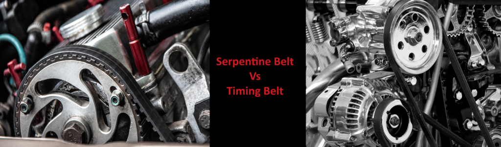 serpentine belt vs timing belt